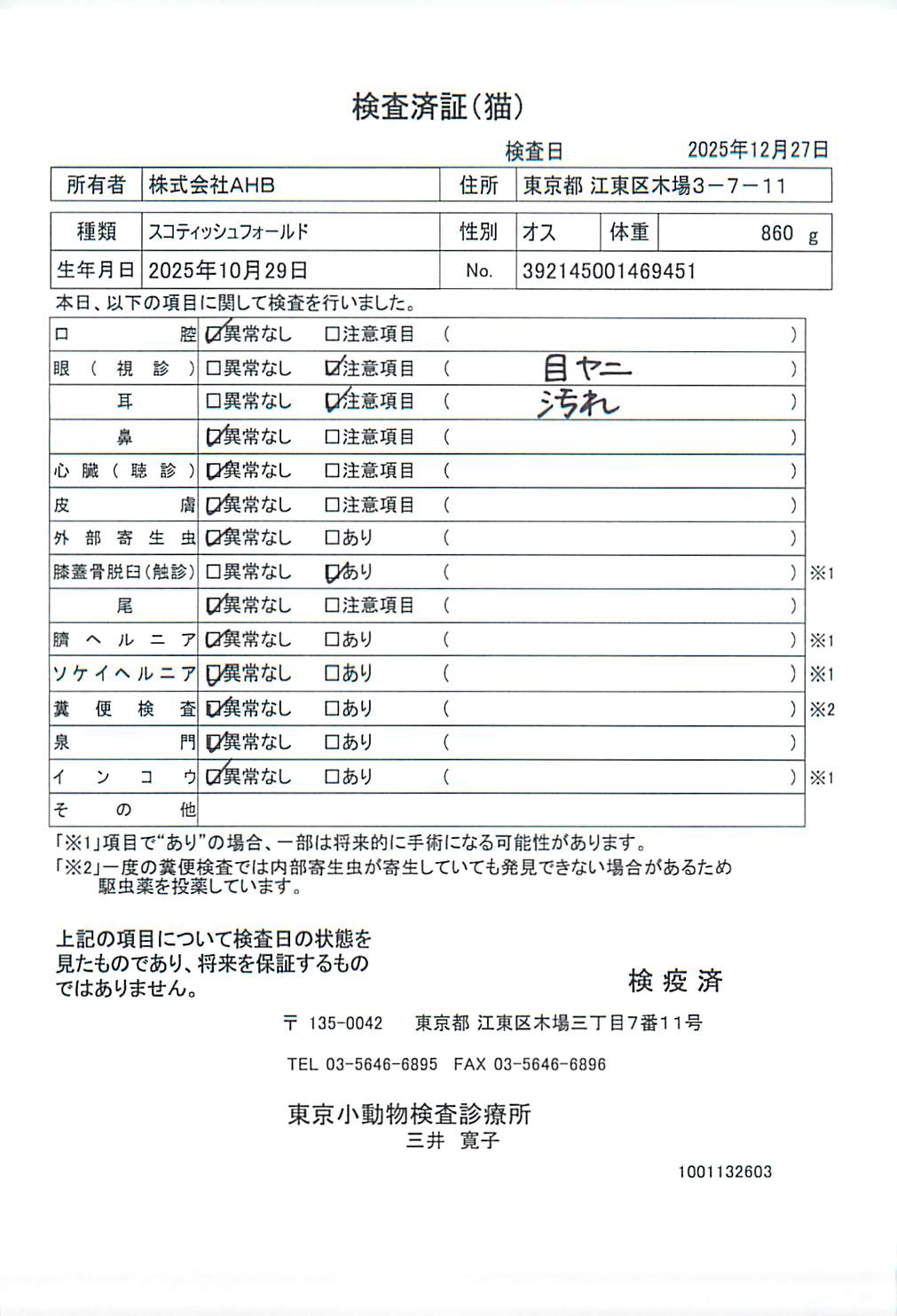 スコティッシュフォールド