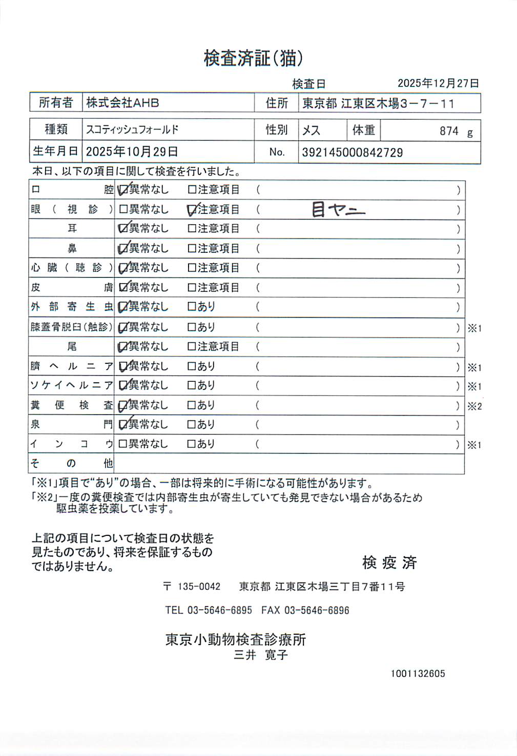 スコティッシュフォールド