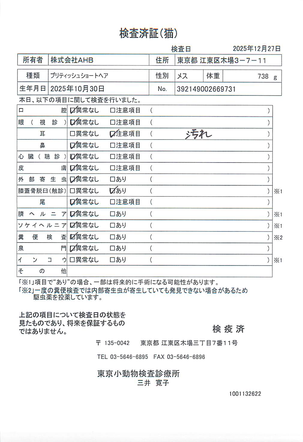 ブリティッシュショートヘア