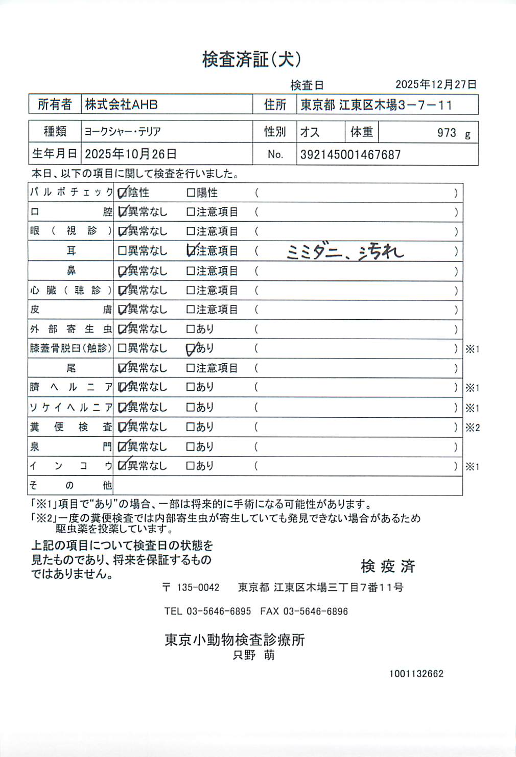 ヨークシャー・テリア