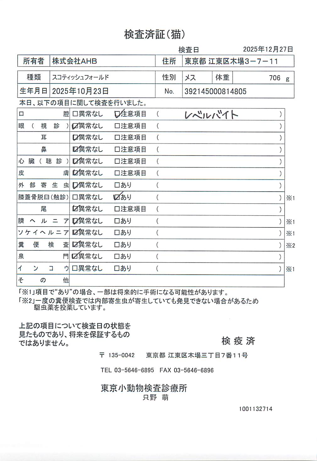 スコティッシュフォールド