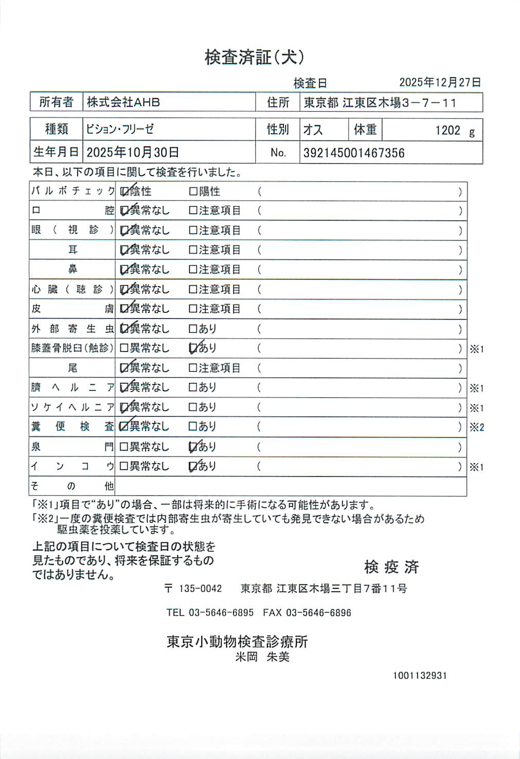 ビション・フリーゼ