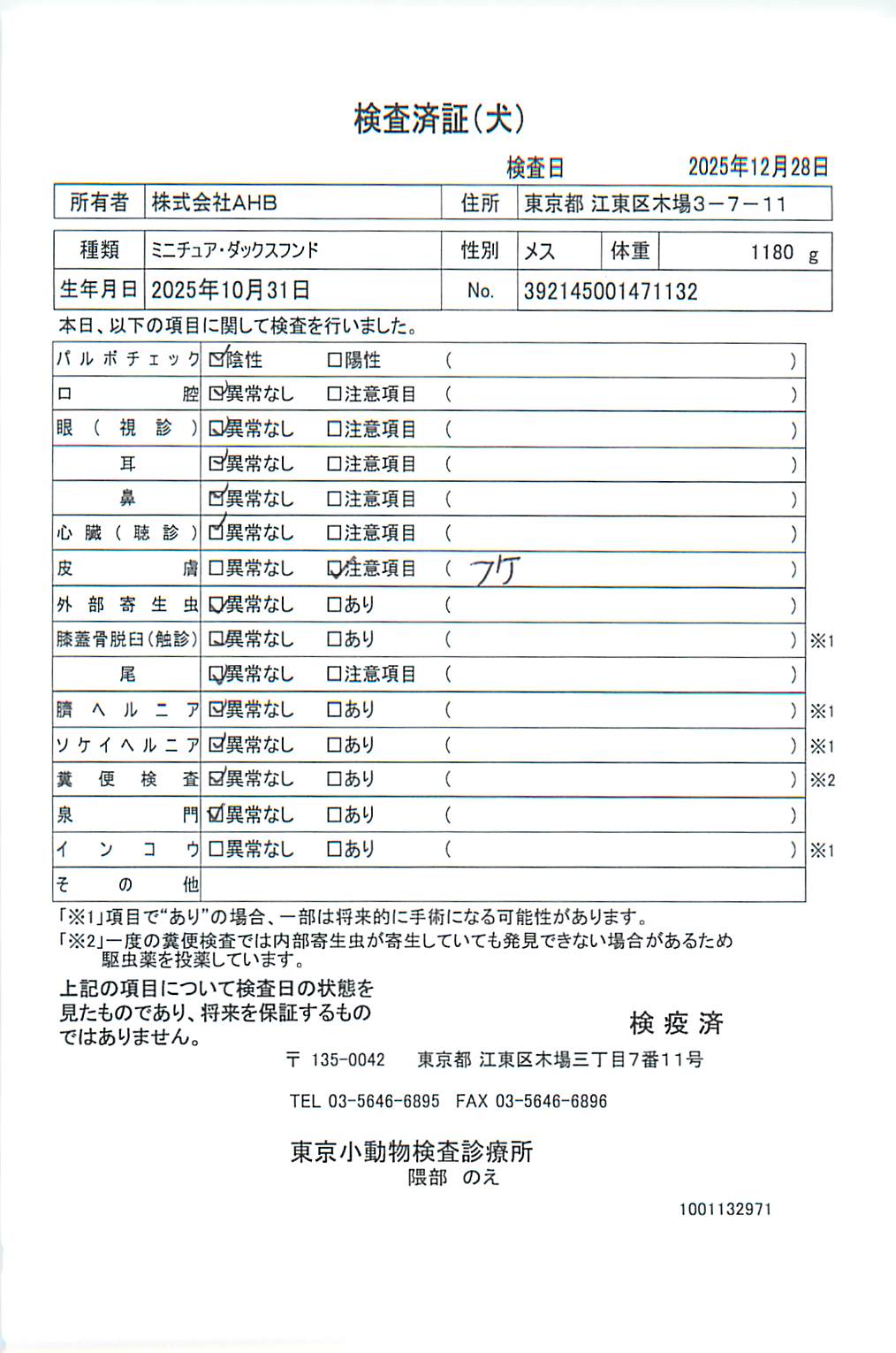 ミニチュア・ダックスフンド