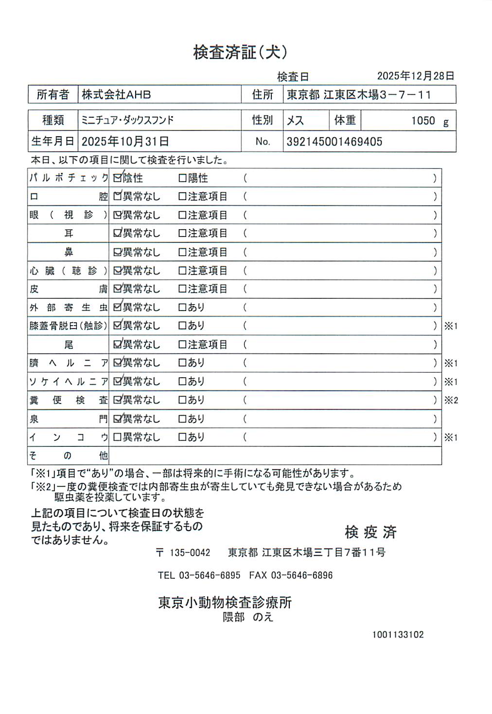 ミニチュア・ダックスフンド