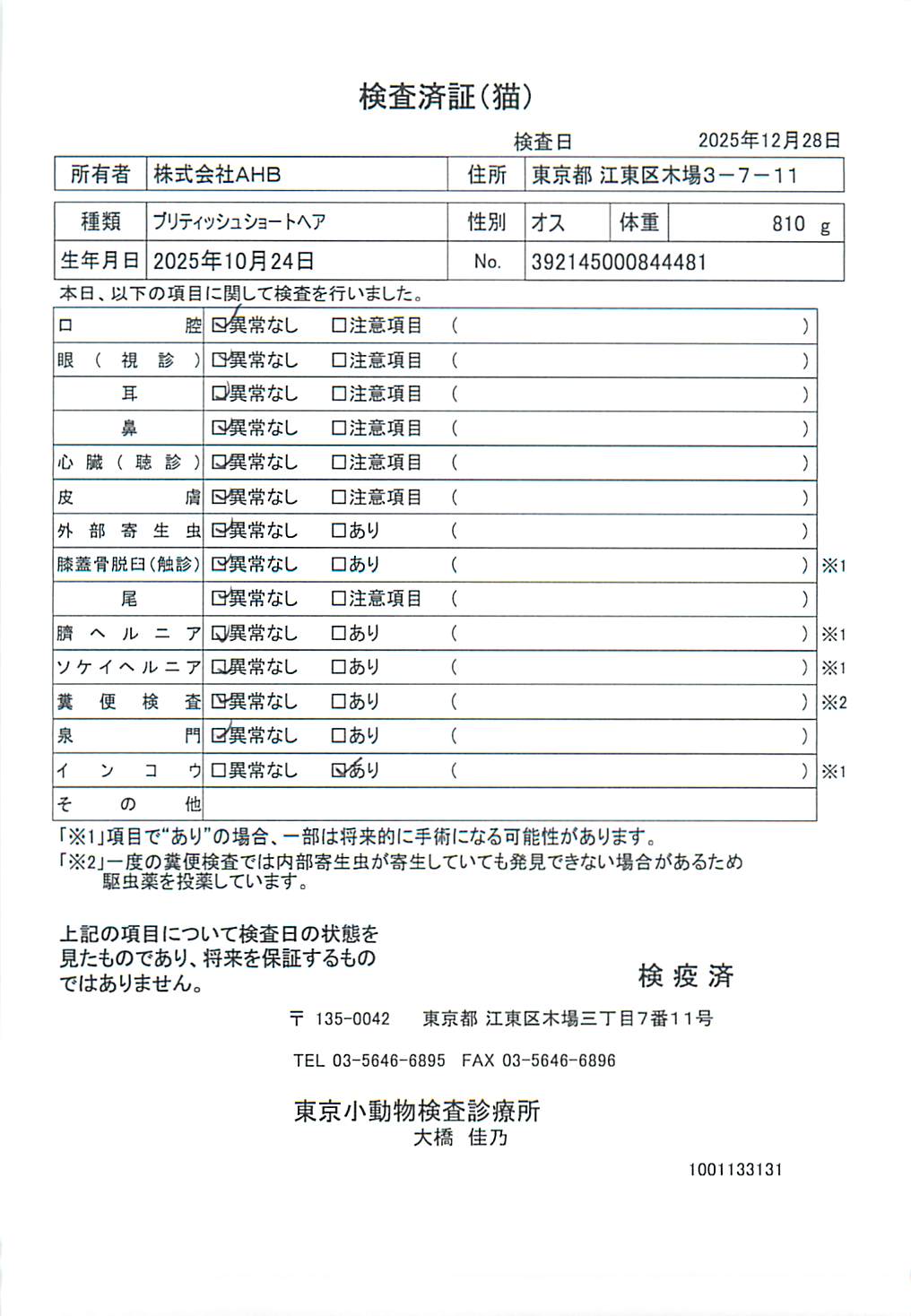 ブリティッシュショートヘア