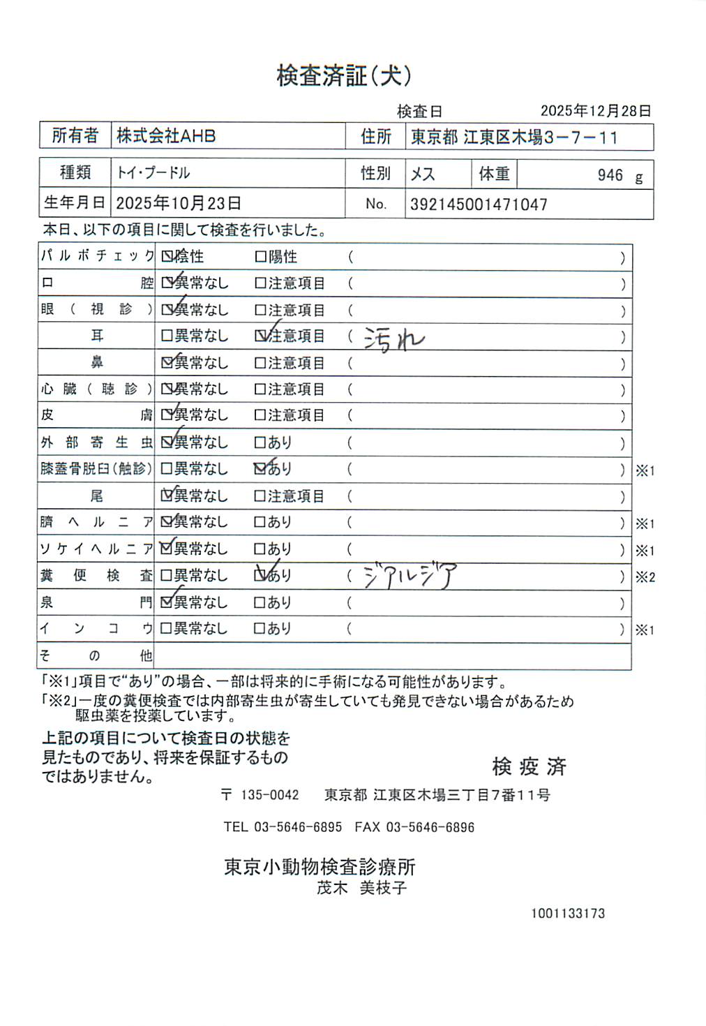 トイ・プードル