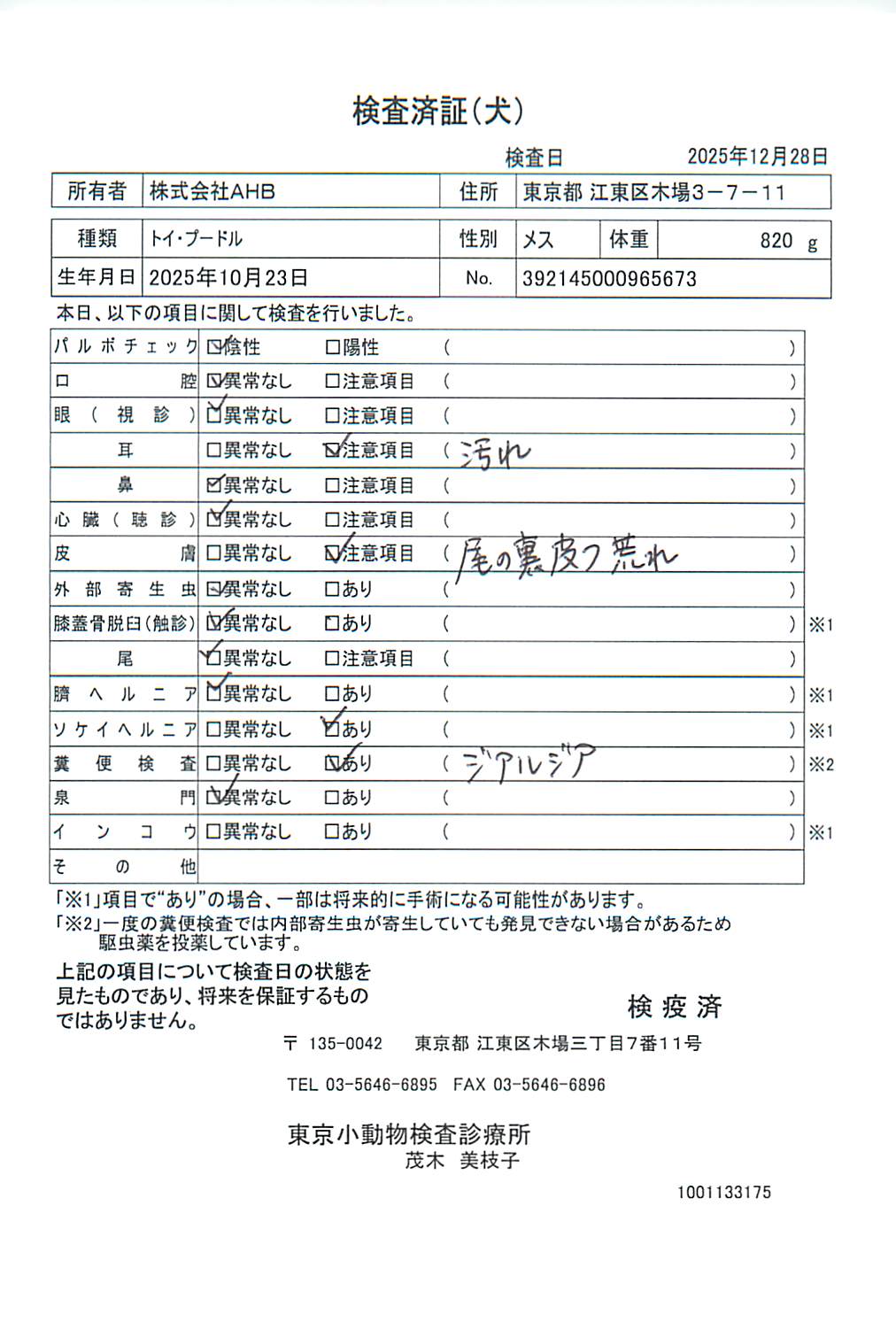 トイ・プードル