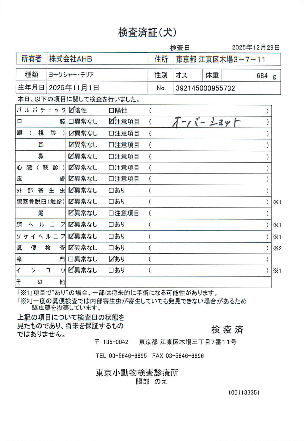 ヨークシャー・テリア
