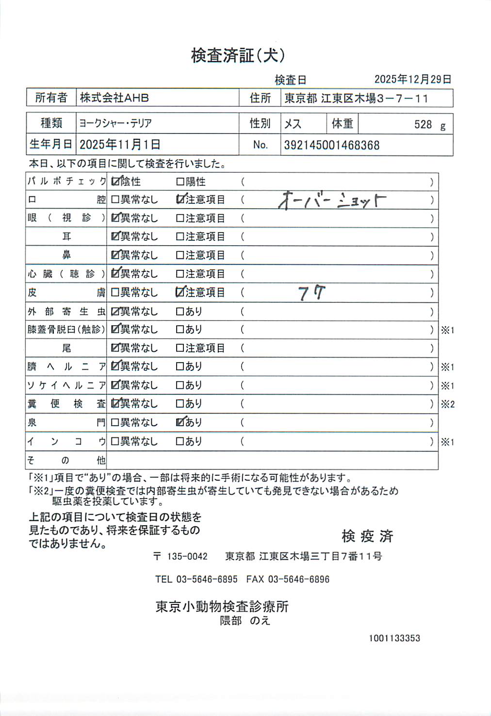ヨークシャー・テリア