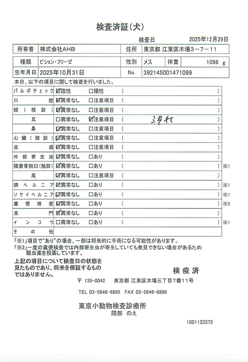ビション・フリーゼ