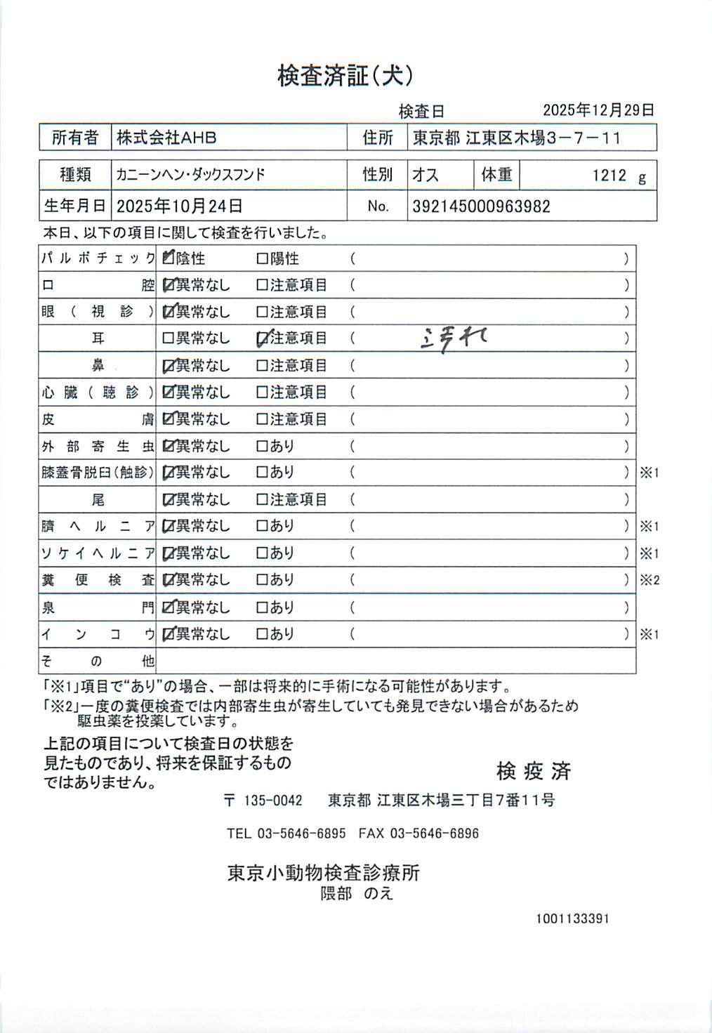 カニーンヘン・ダックスフンド