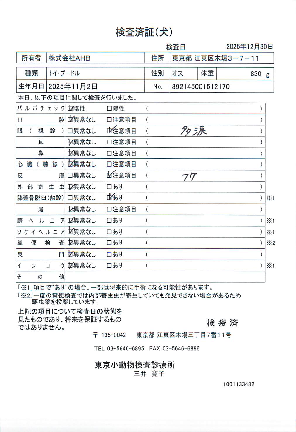 トイ・プードル