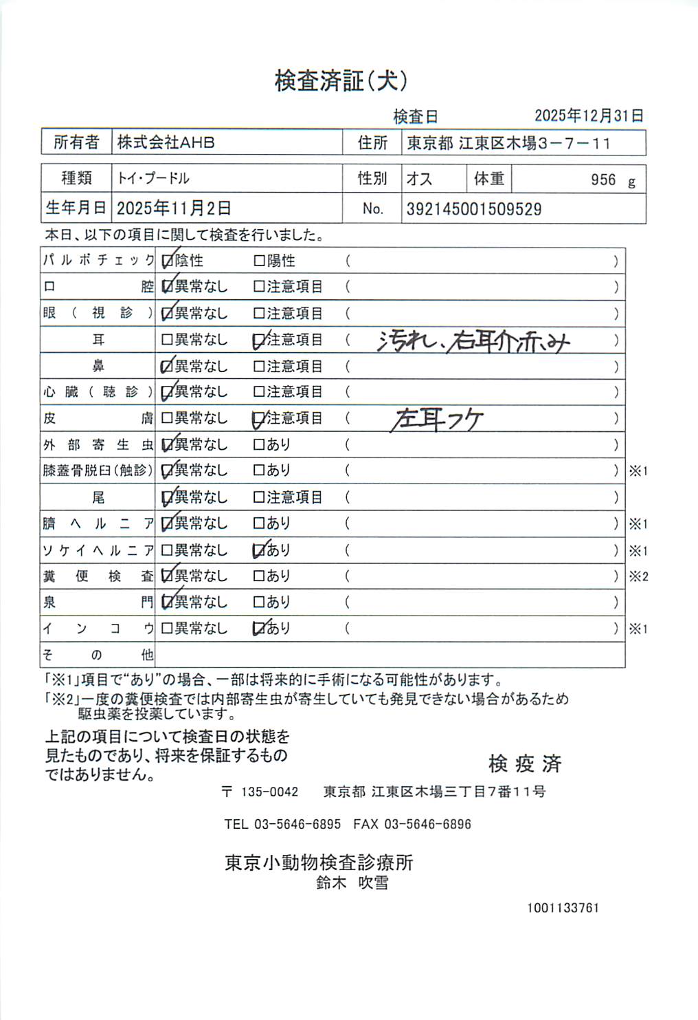 トイ・プードル