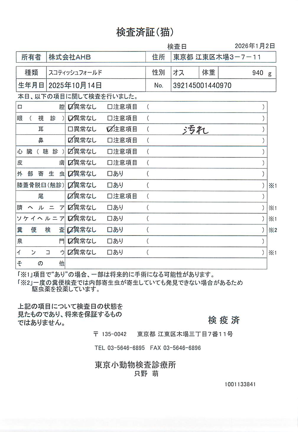 スコティッシュフォールド