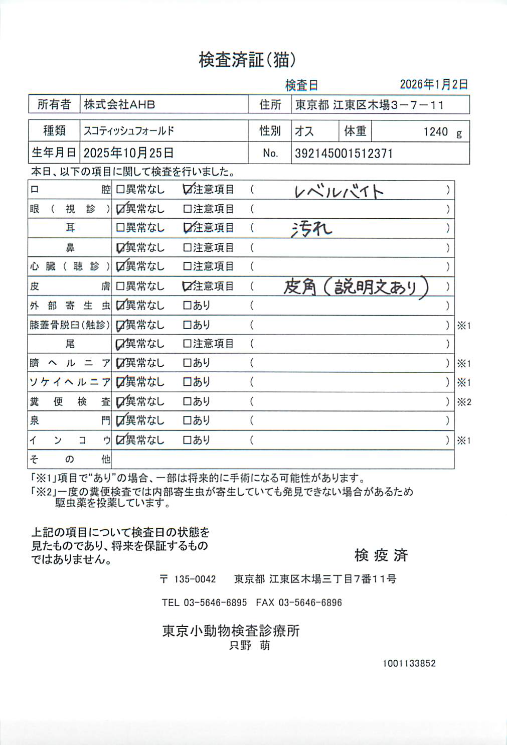 スコティッシュフォールド