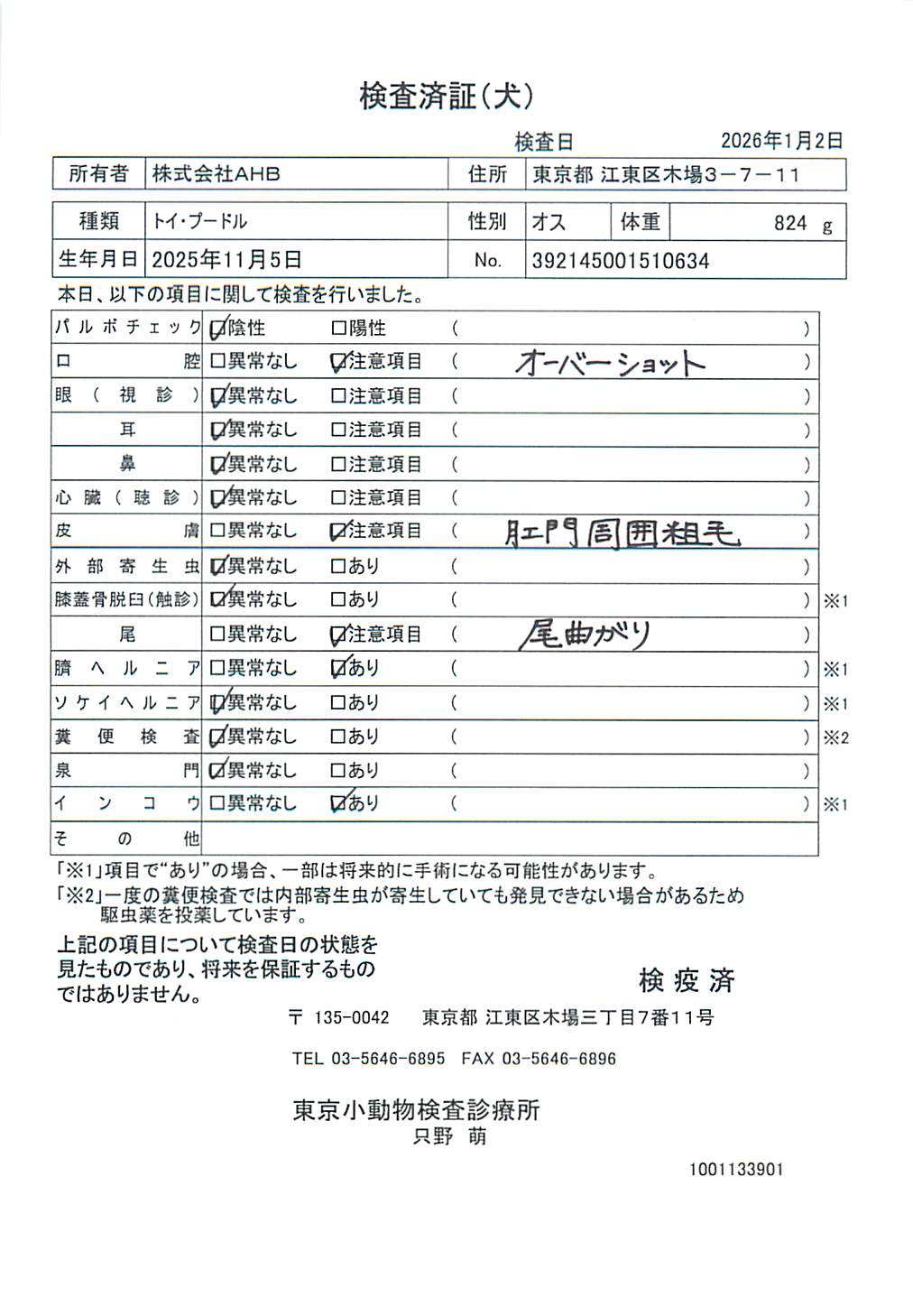 トイ・プードル