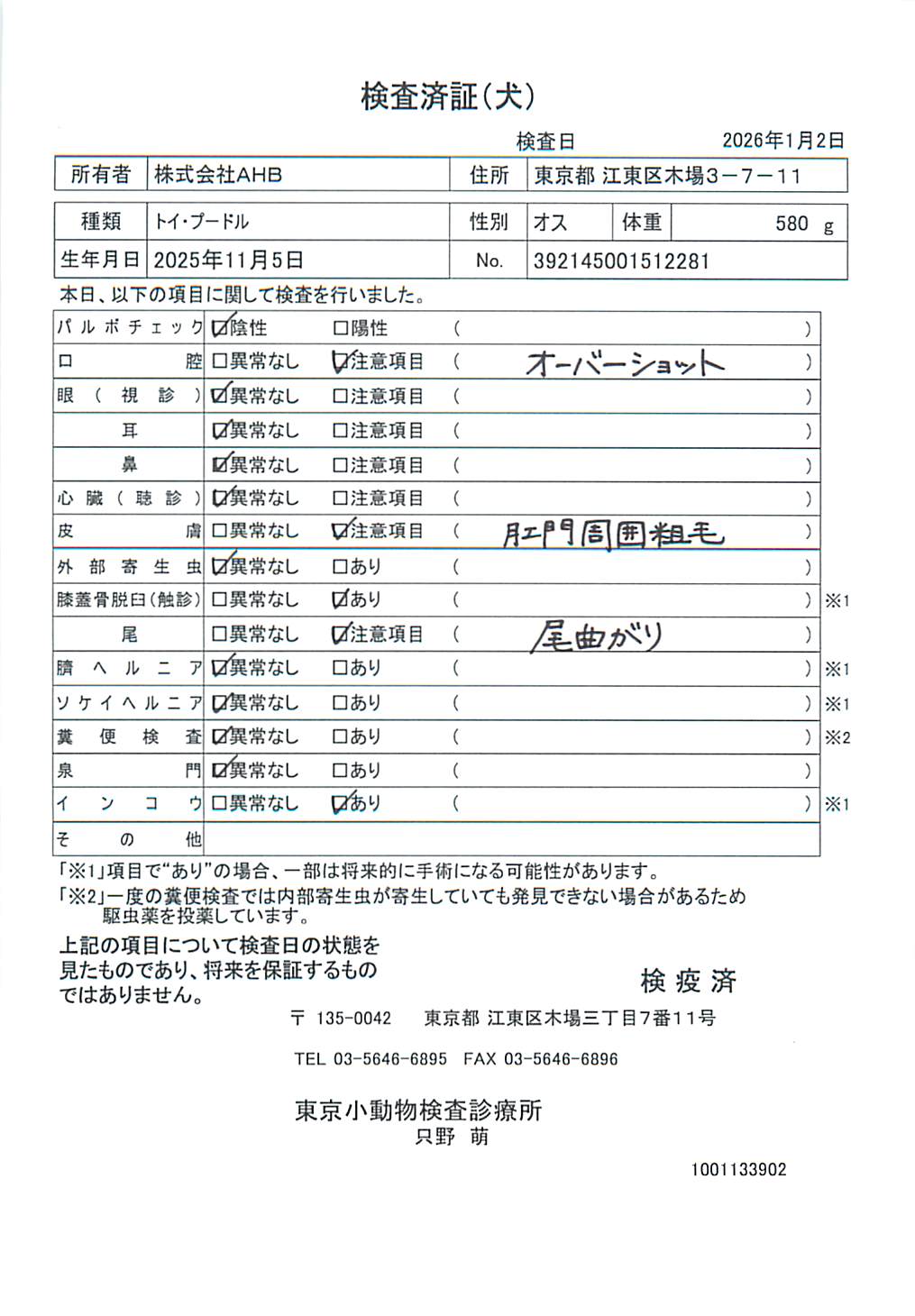トイ・プードル