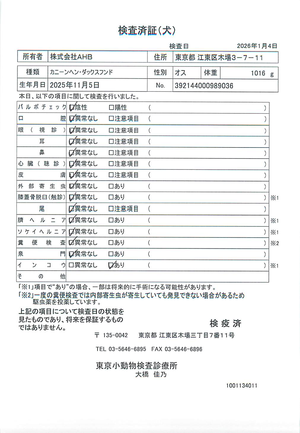 カニーンヘン・ダックスフンド