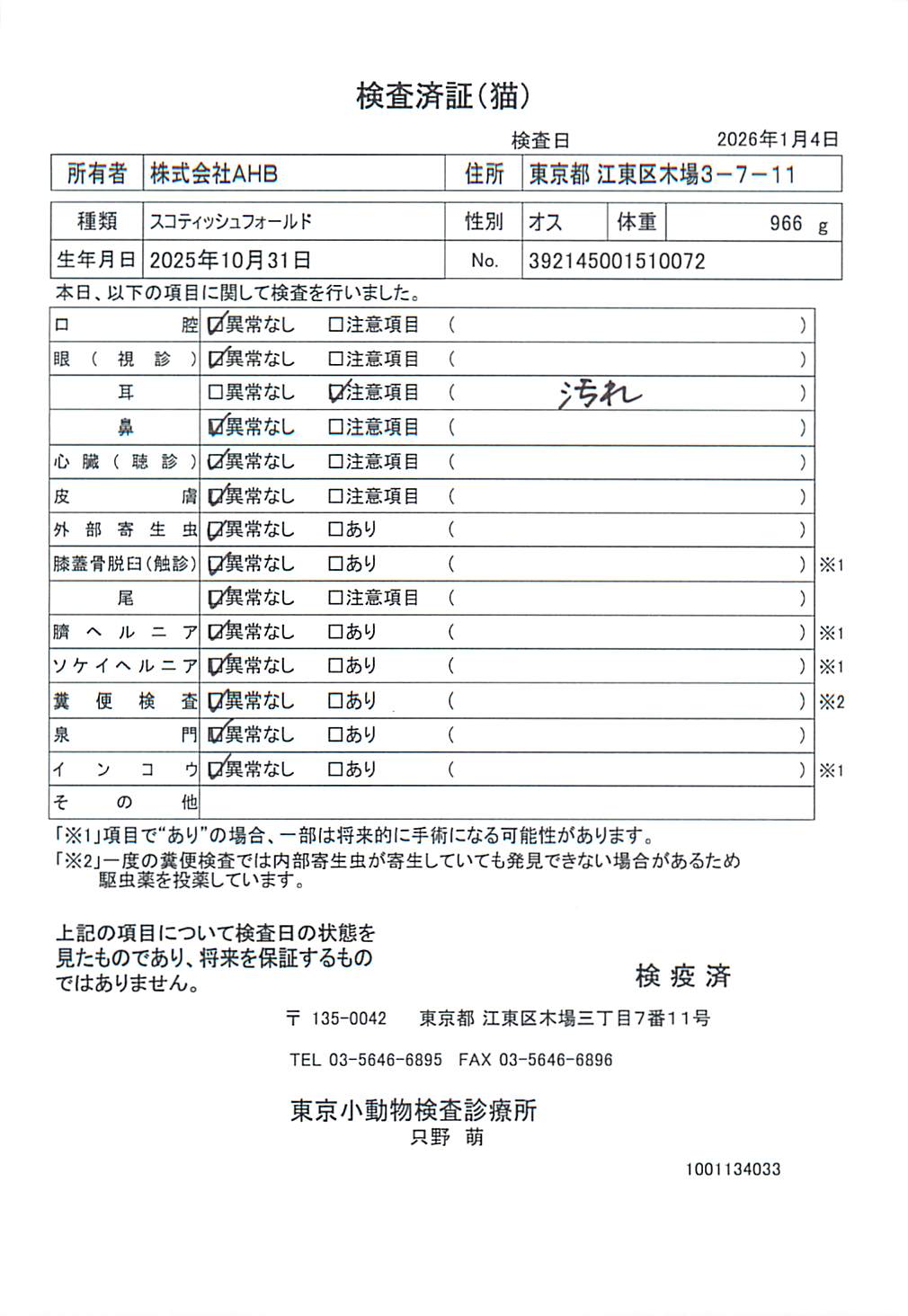 スコティッシュフォールド