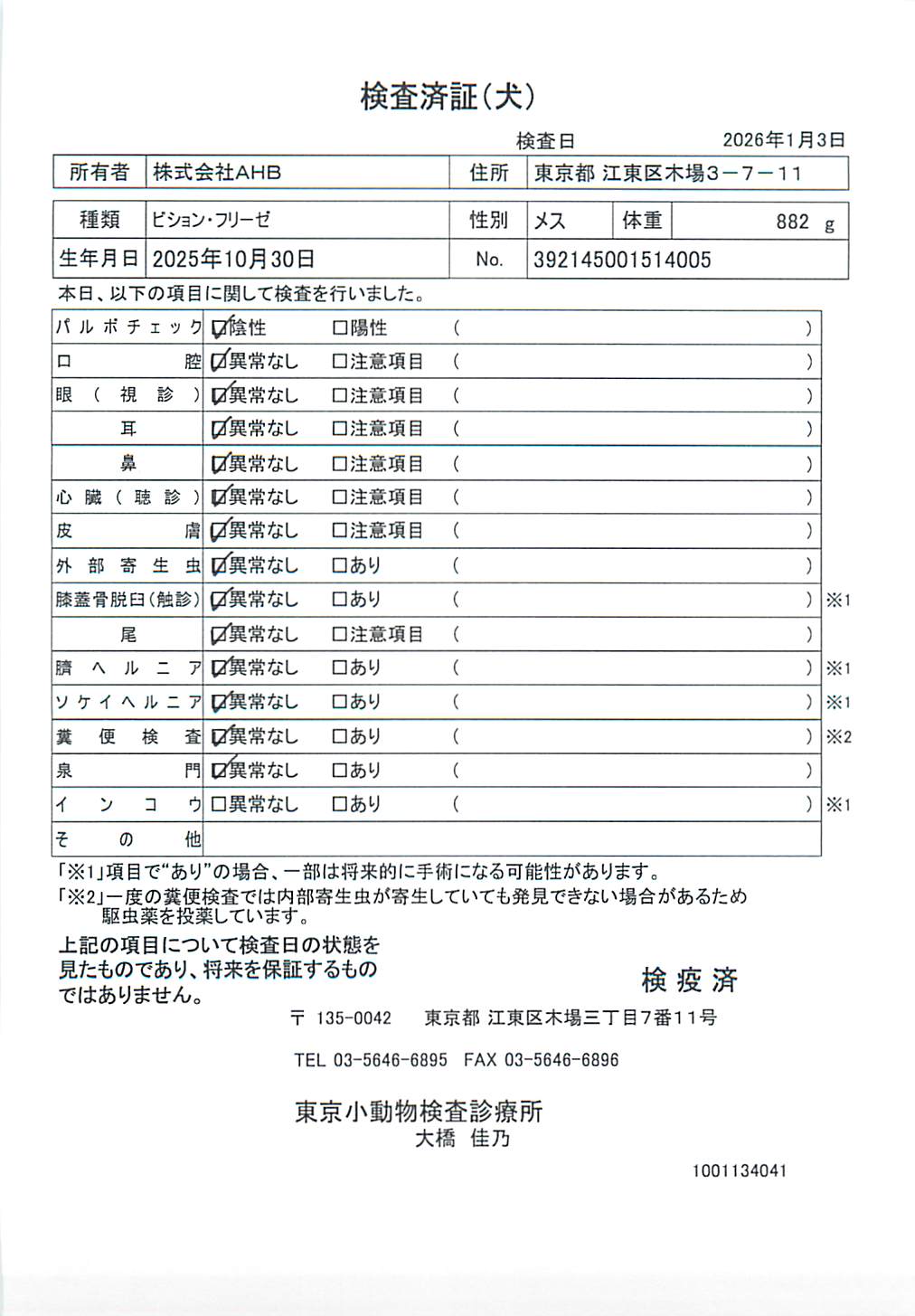 ビション・フリーゼ