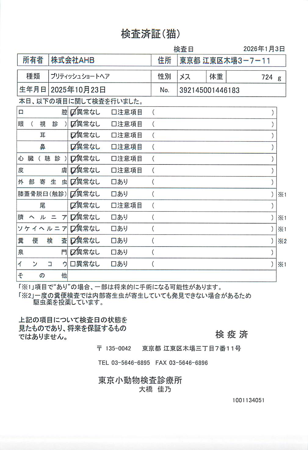 ブリティッシュショートヘア