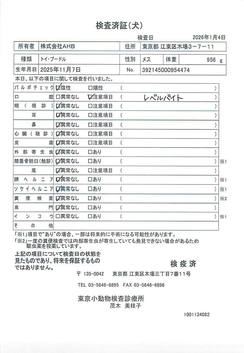トイ・プードル