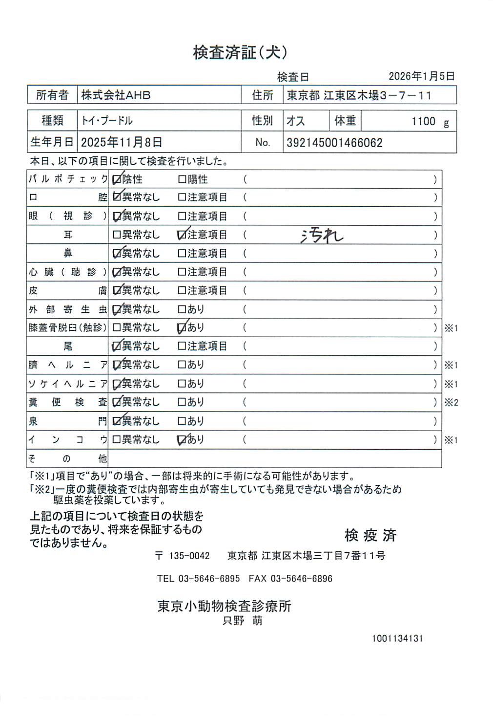 トイ・プードル