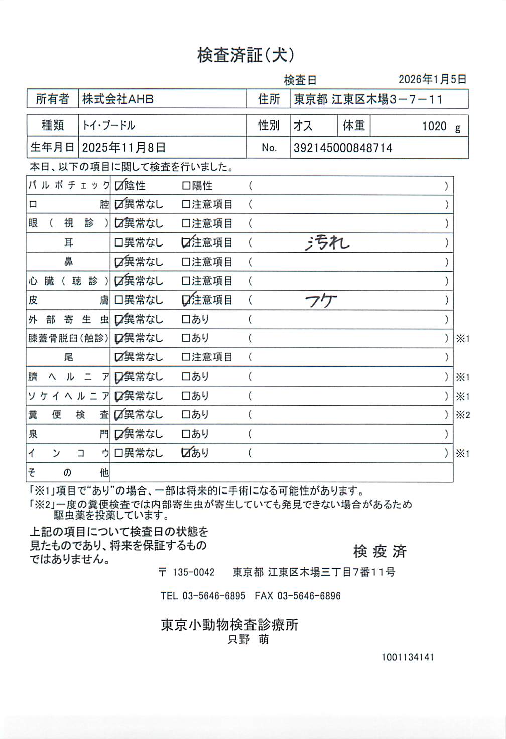 トイ・プードル