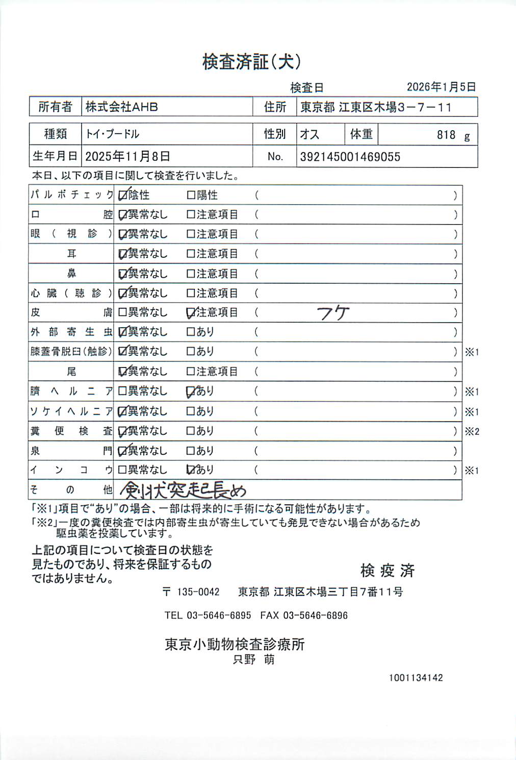 トイ・プードル