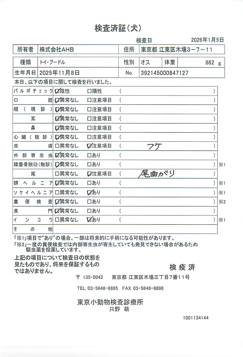 トイ・プードル