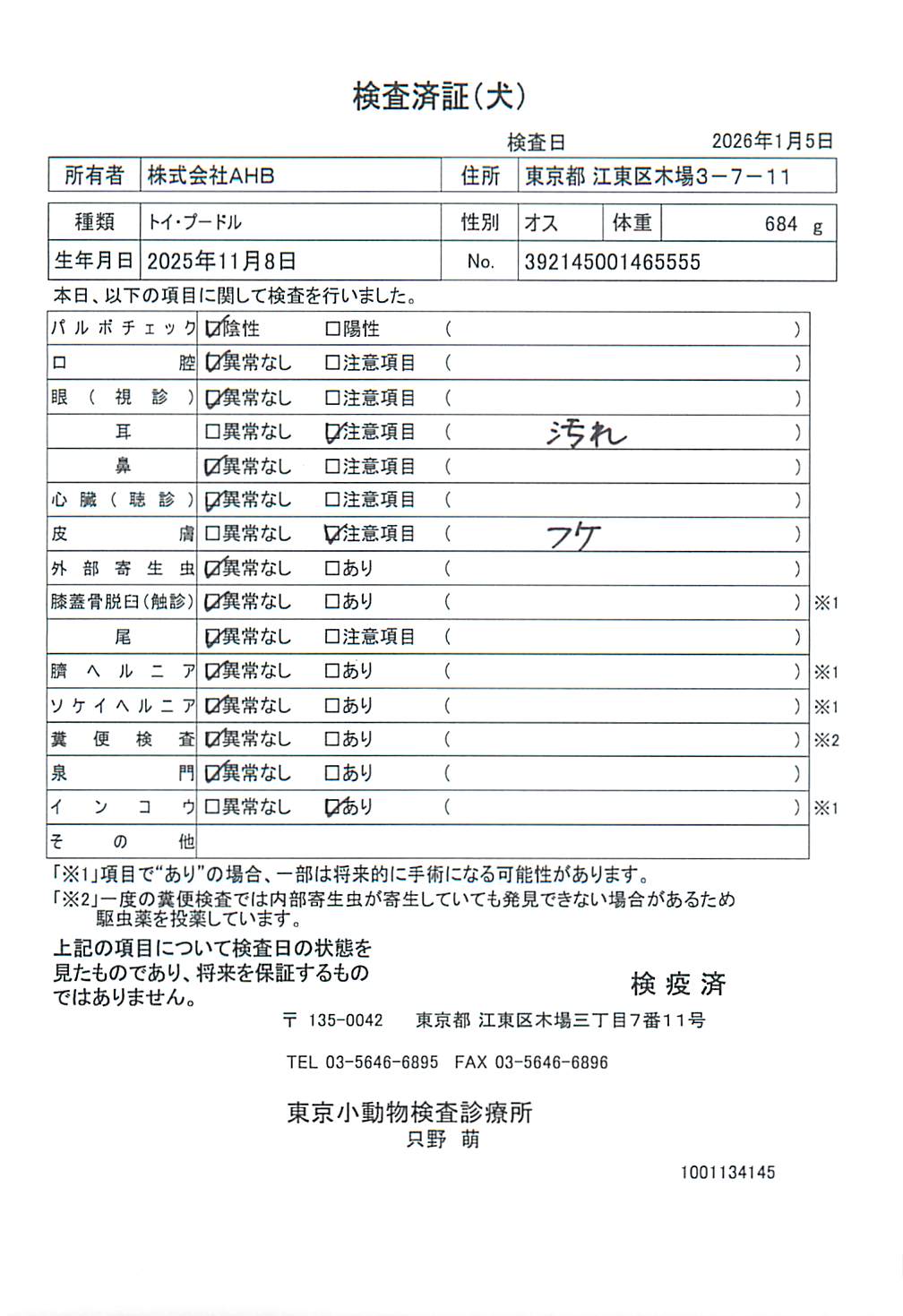 トイ・プードル