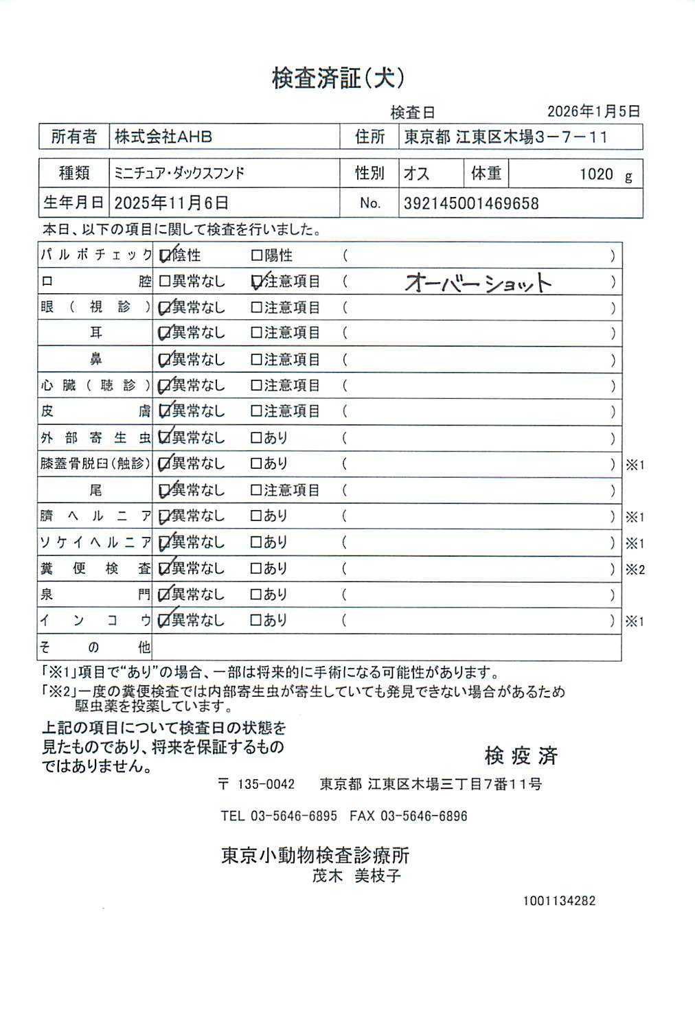 ミニチュア・ダックスフンド