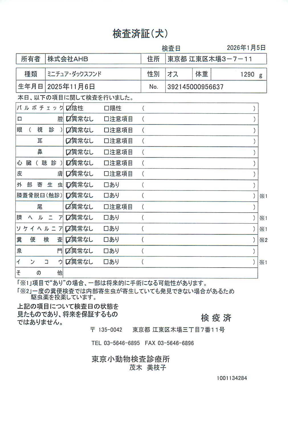 ミニチュア・ダックスフンド