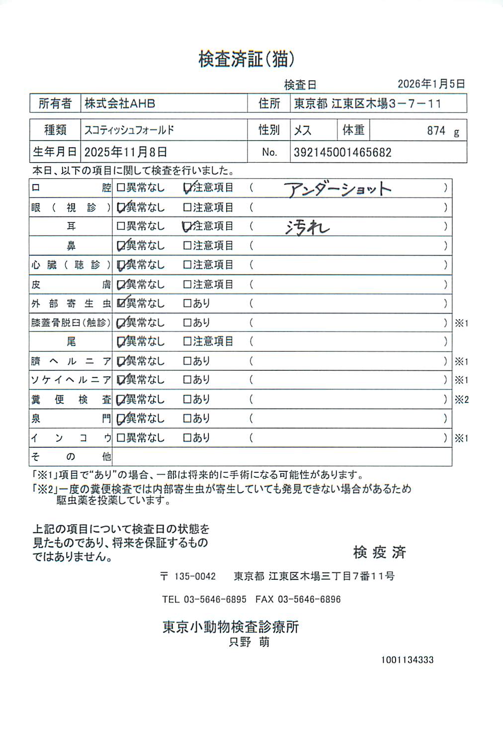 スコティッシュフォールド