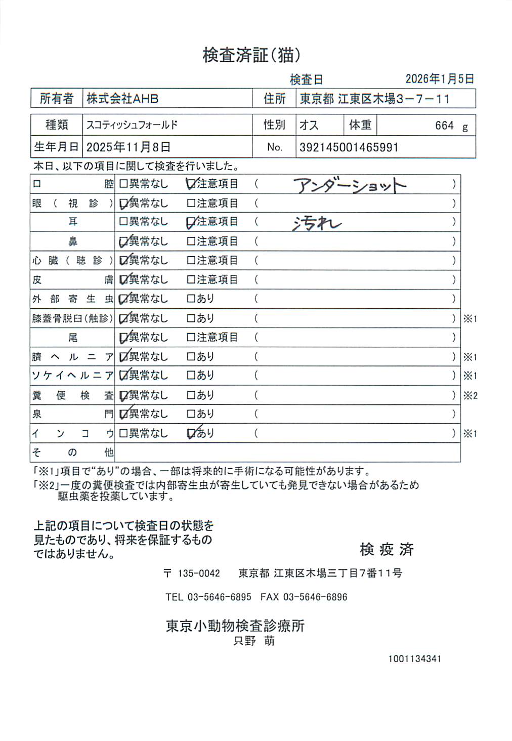 スコティッシュフォールド