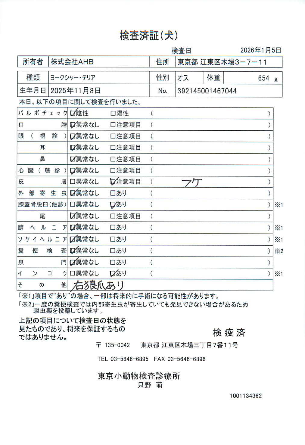 ヨークシャー・テリア