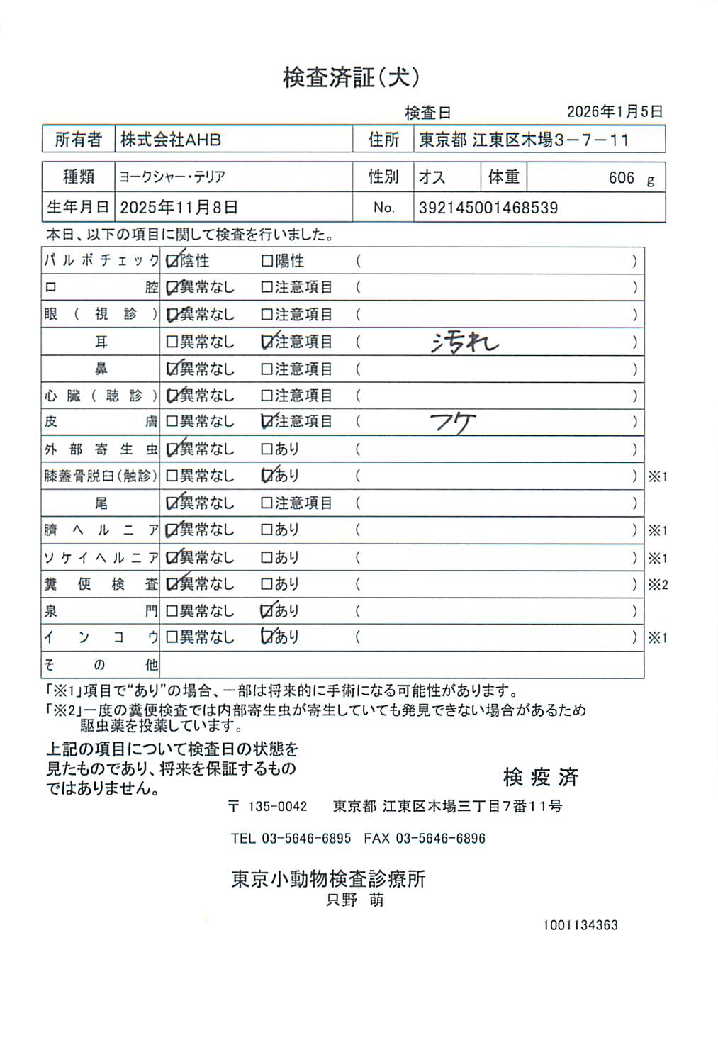 ヨークシャー・テリア