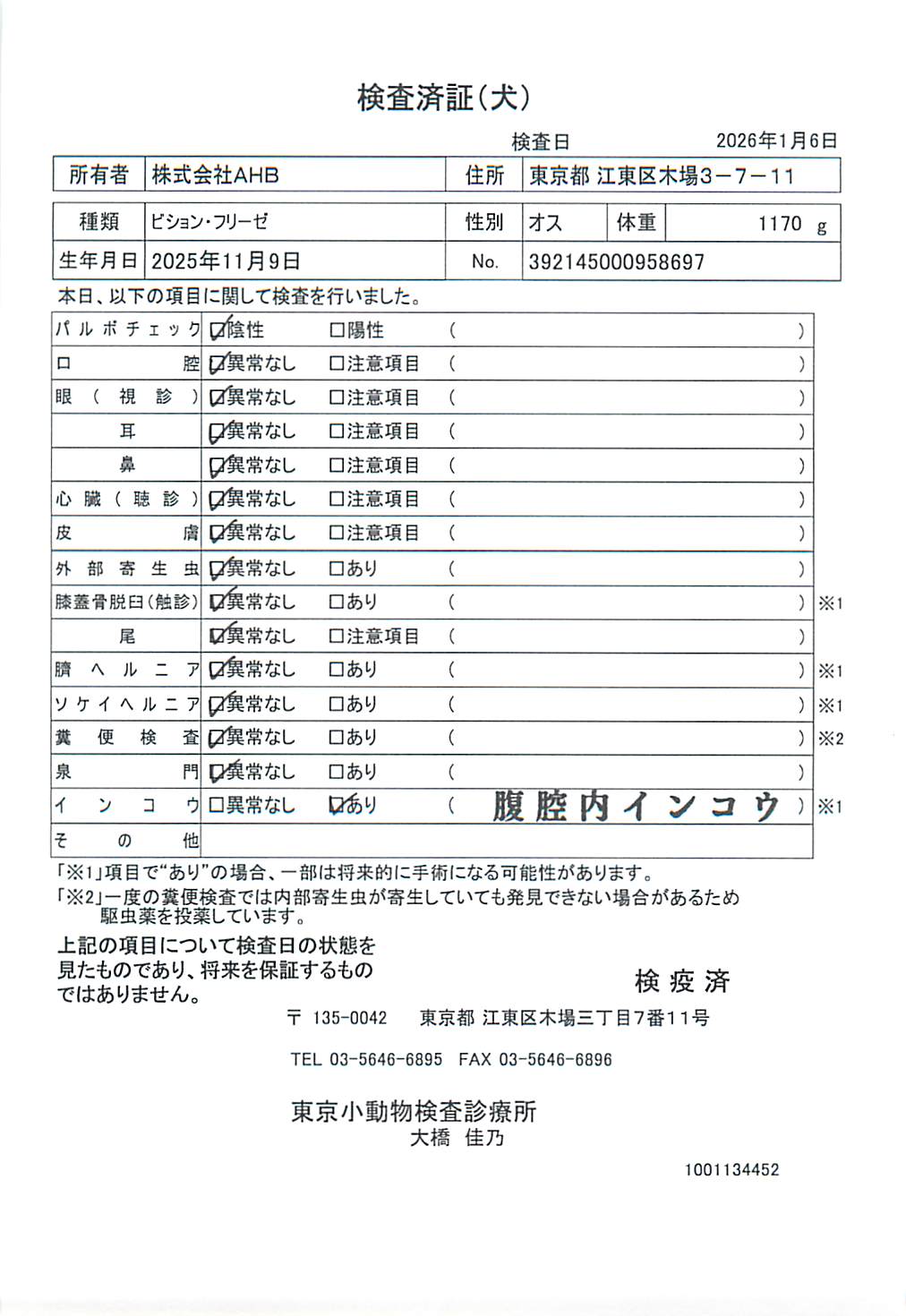 ビション・フリーゼ