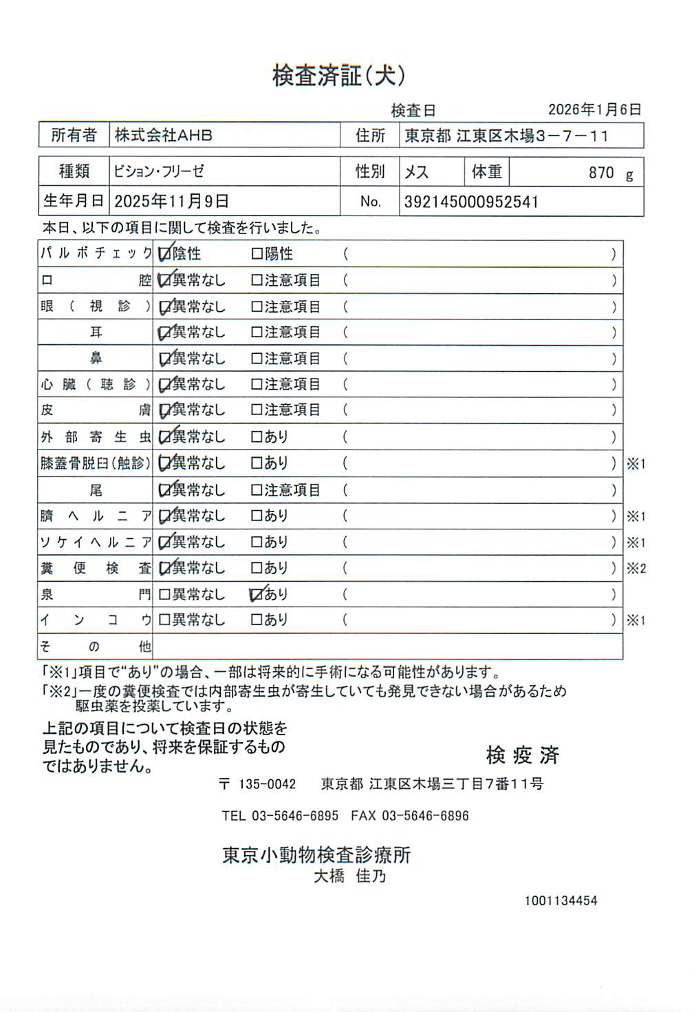 ビション・フリーゼ