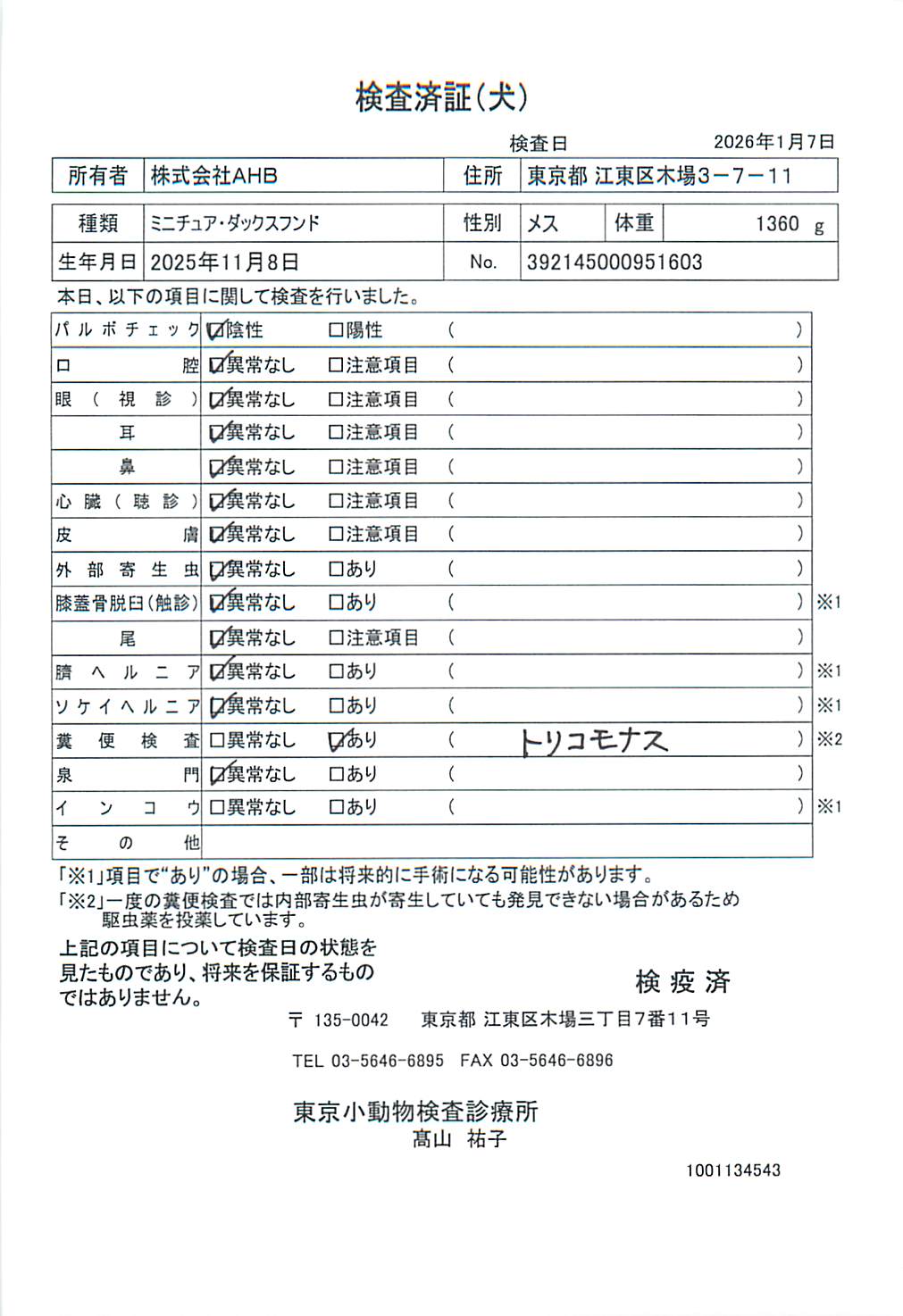 ミニチュア・ダックスフンド