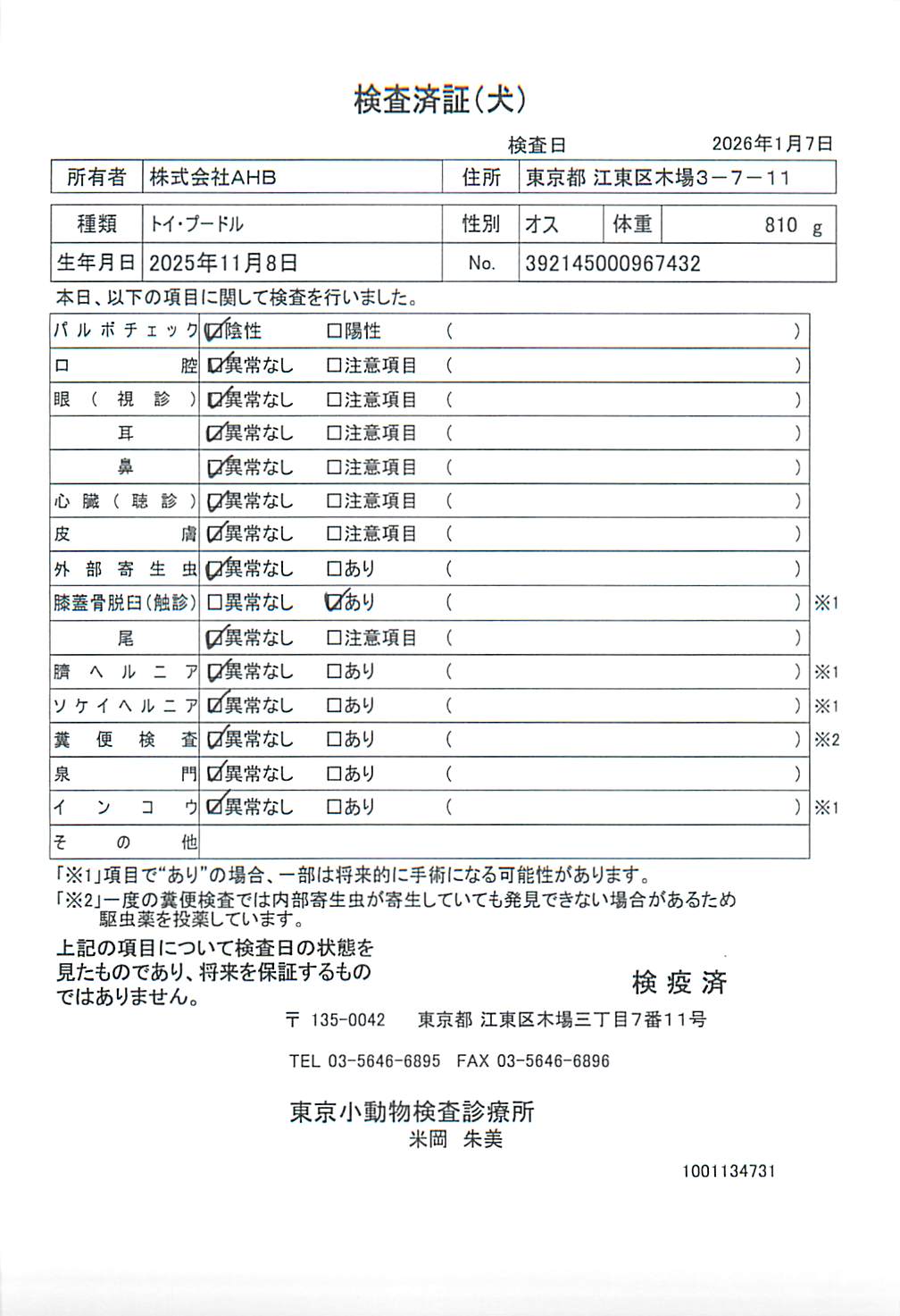 トイ・プードル