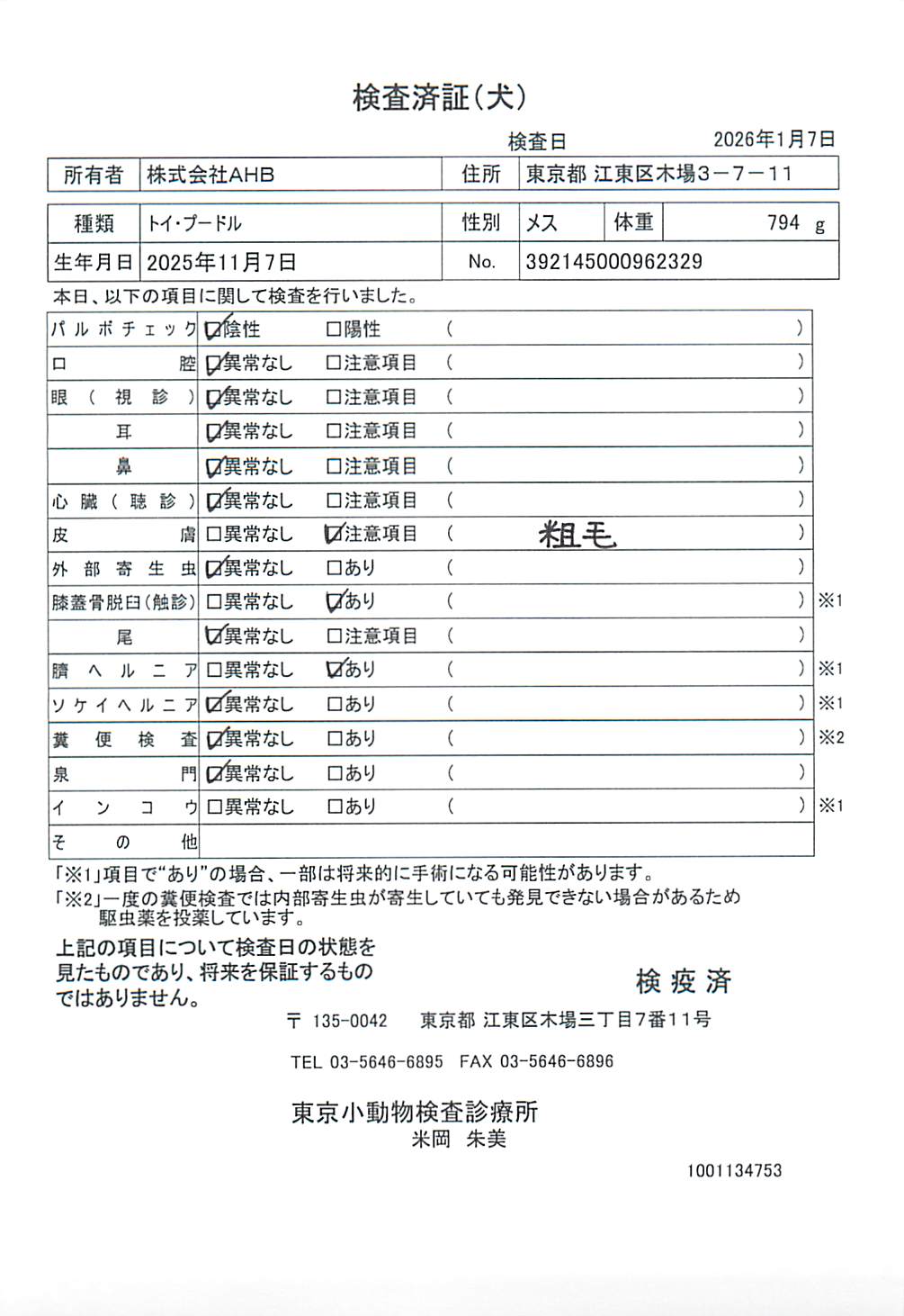 トイ・プードル