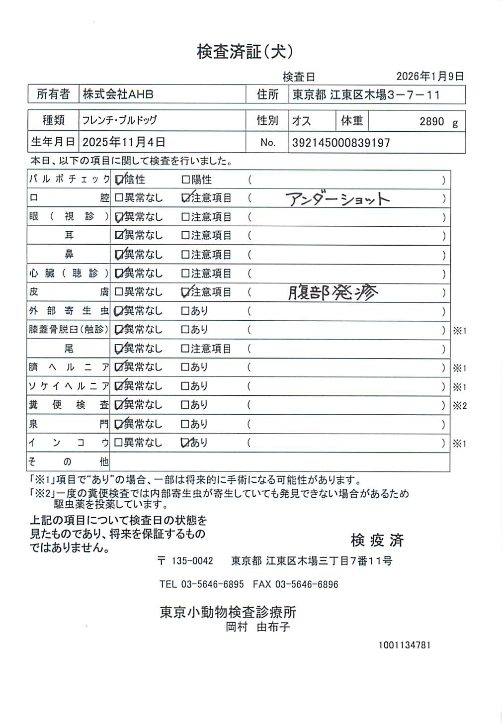 フレンチ・ブルドッグ