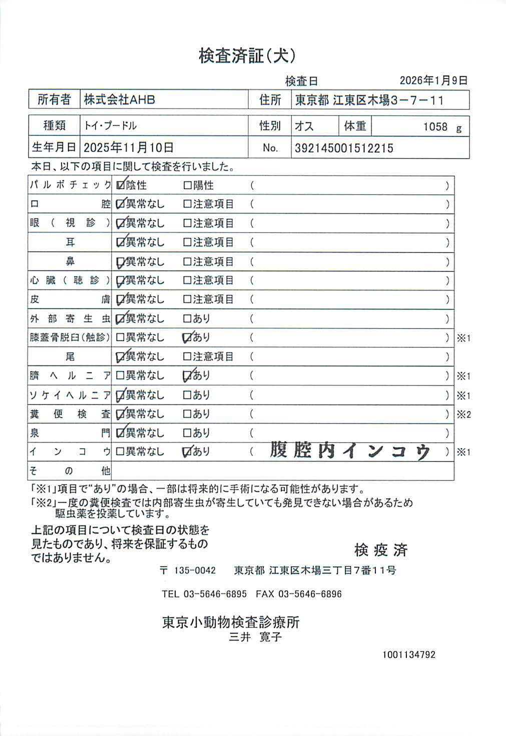 トイ・プードル