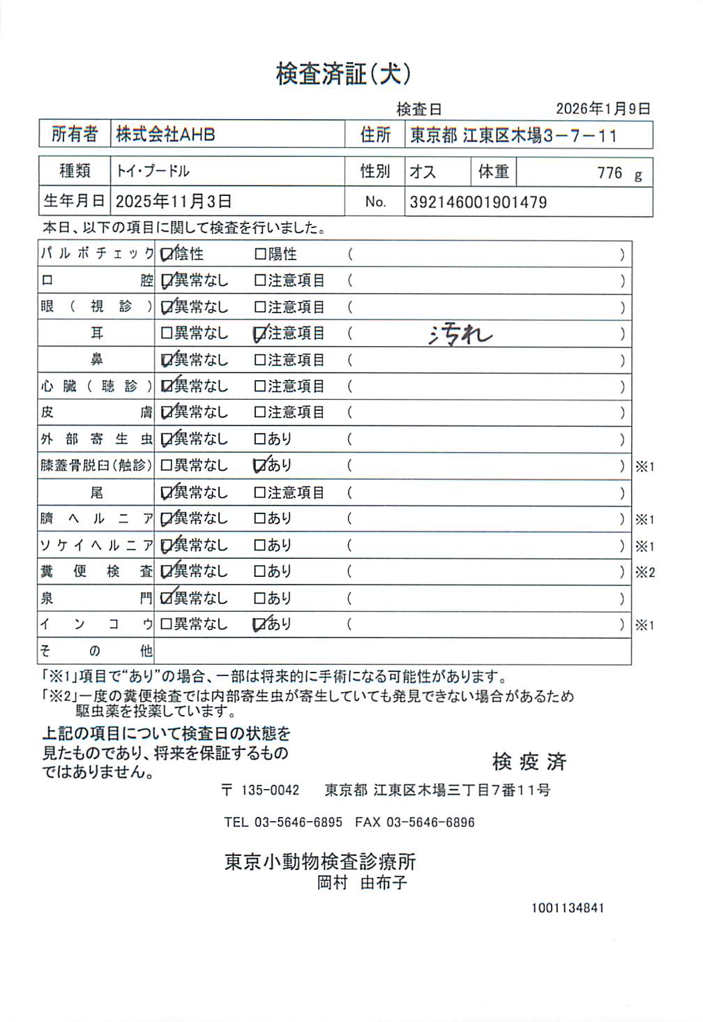 トイ・プードル