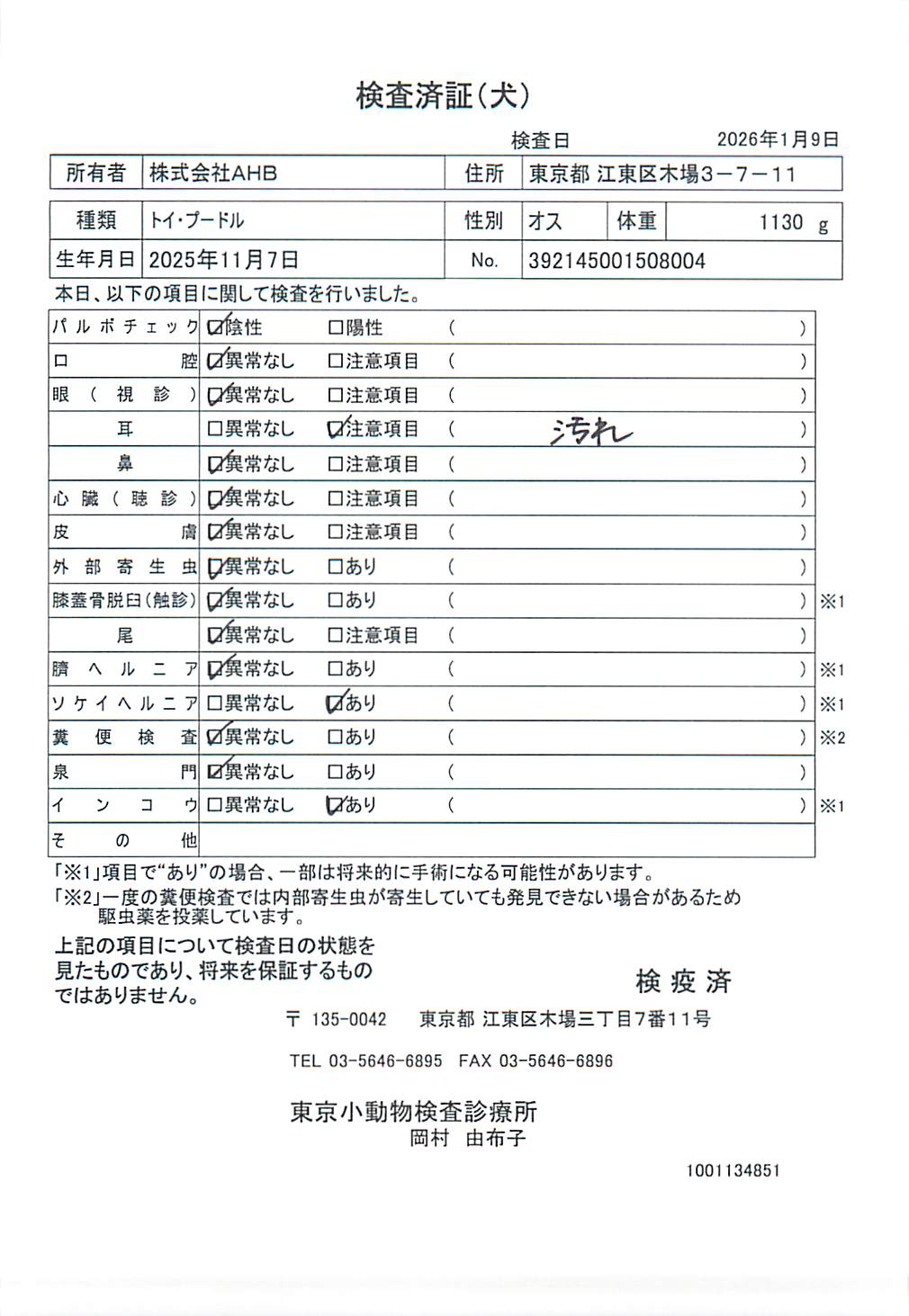 トイ・プードル