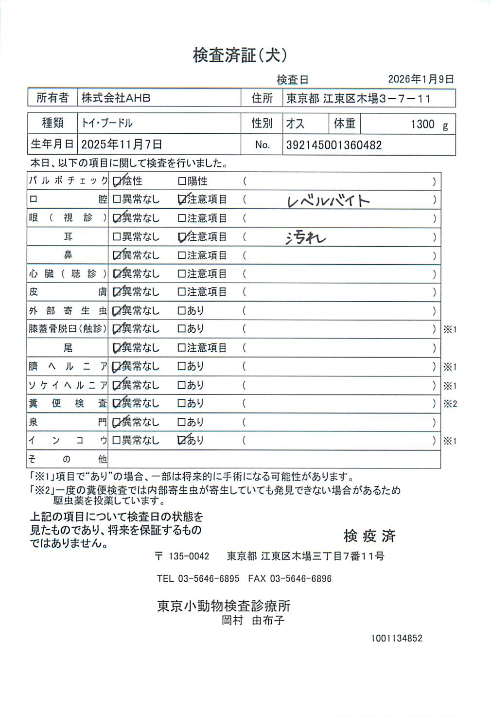 トイ・プードル
