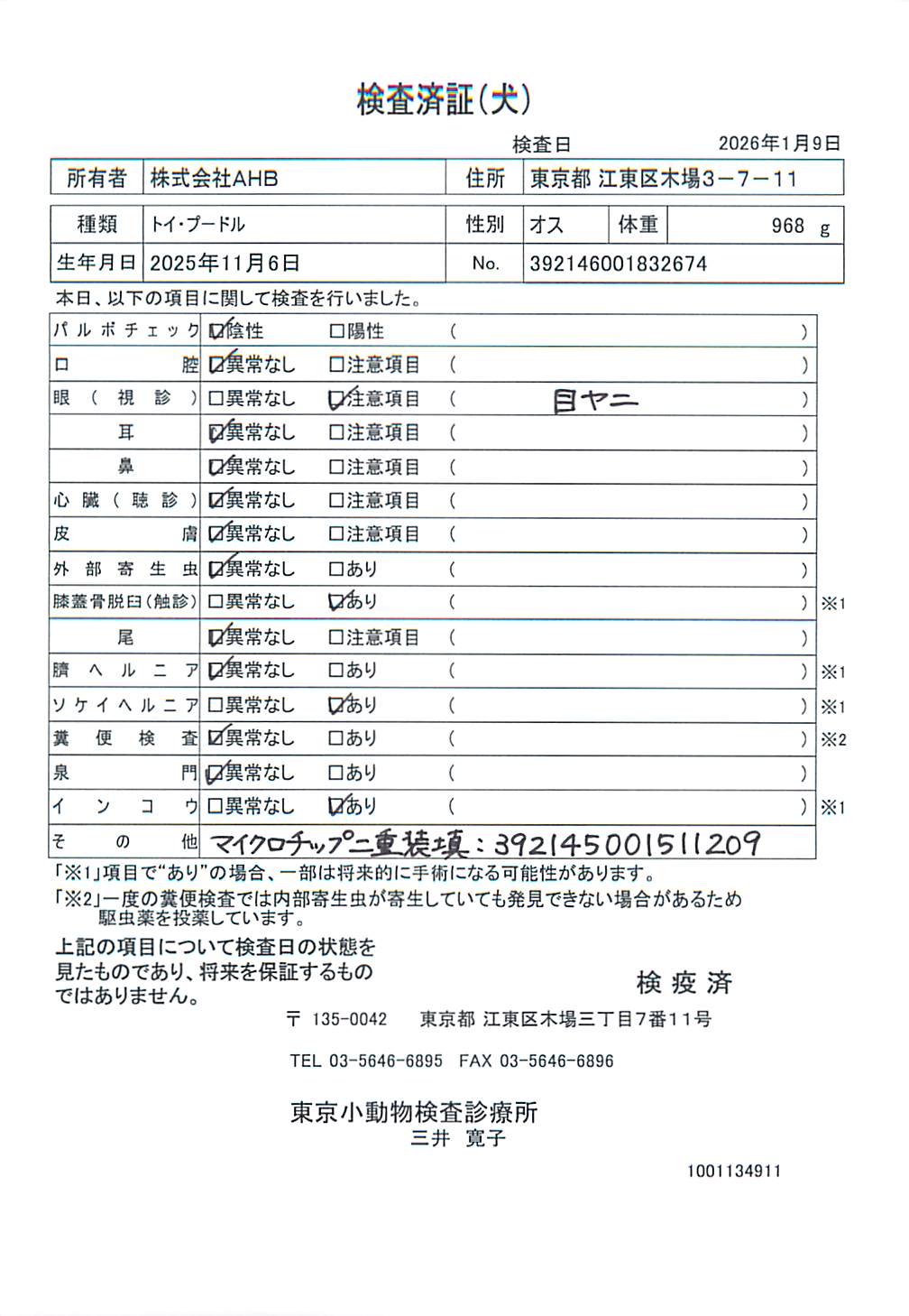 トイ・プードル