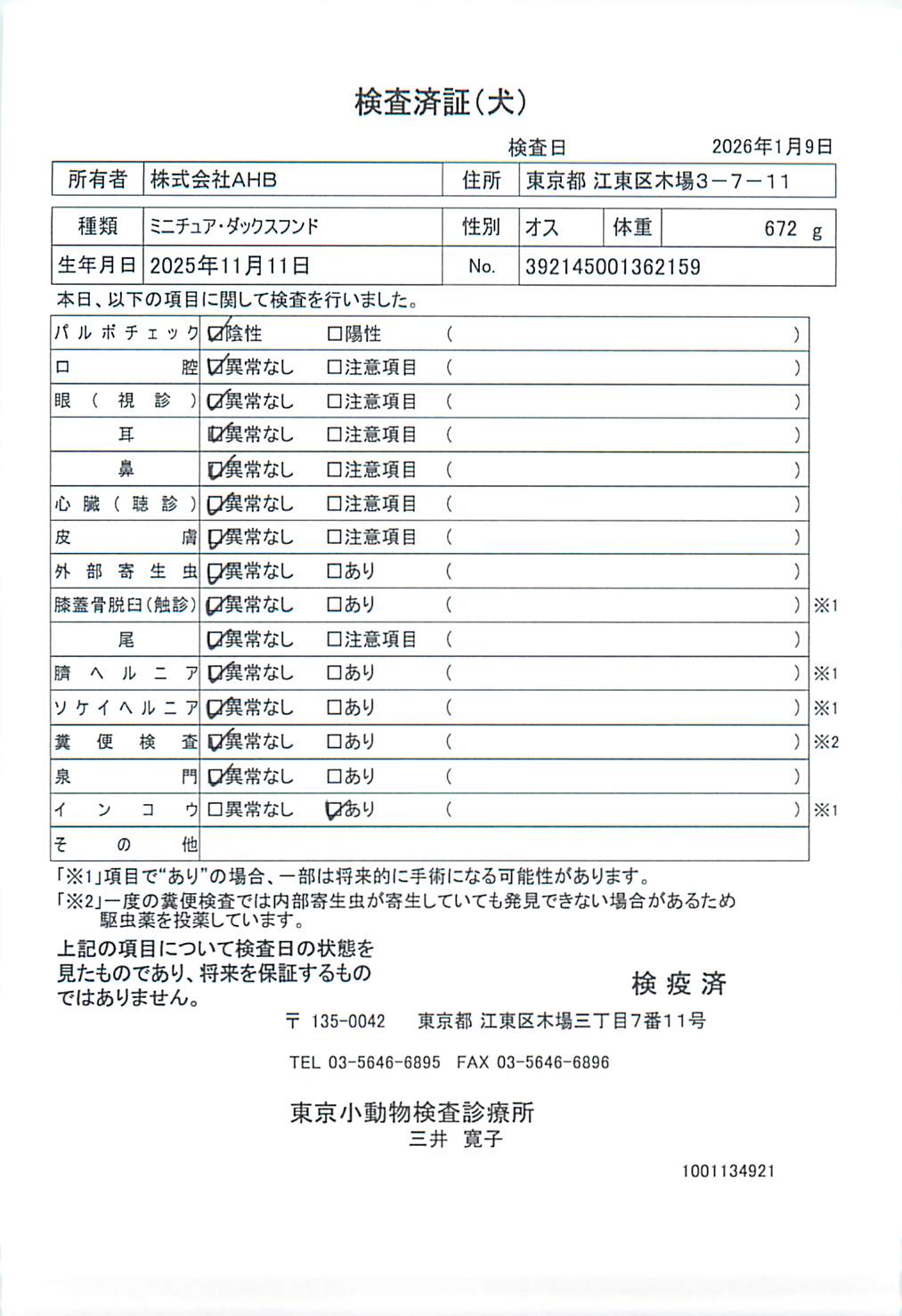 ミニチュア・ダックスフンド