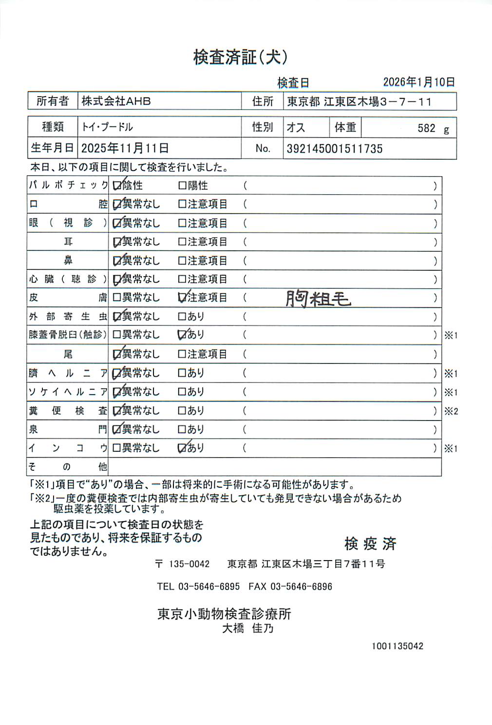 トイ・プードル